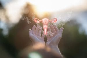 Utero